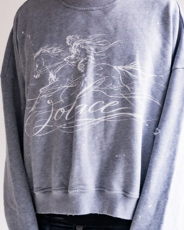Solace Crewneck (Grey)